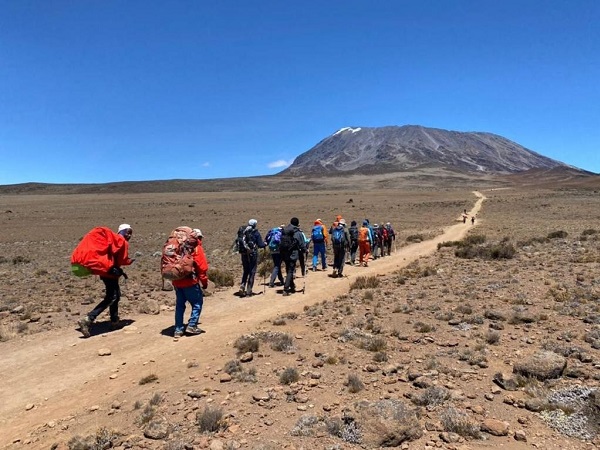 8e1128fb-2096-48bb-8239-25348c88d86c