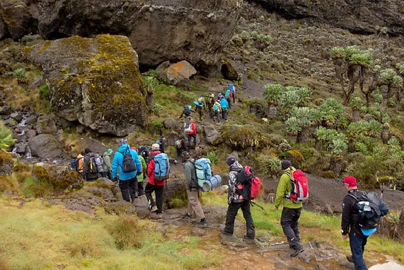 6 Days Kilimanjaro Climbing Lemosho Route