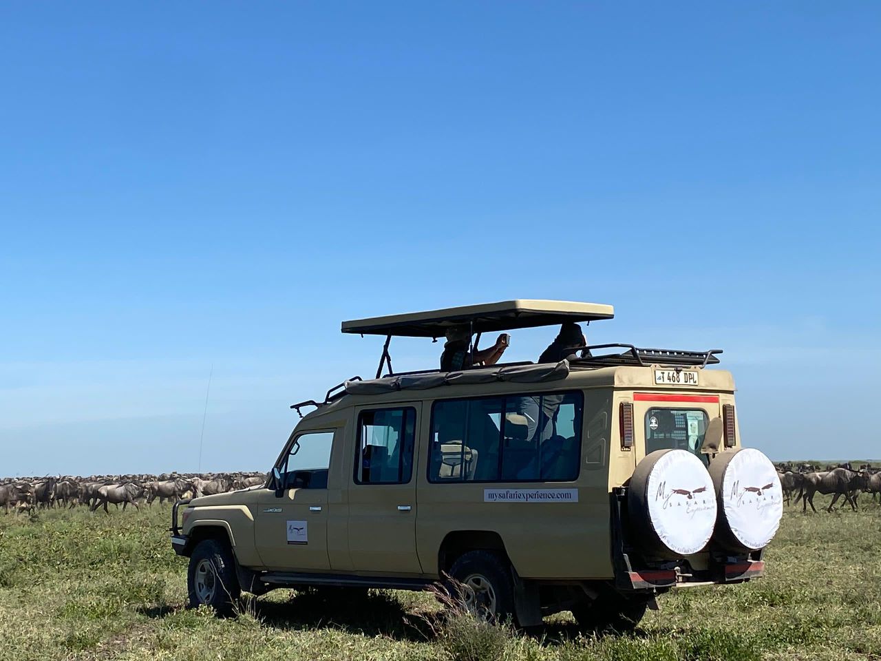 Tanzania safari packages